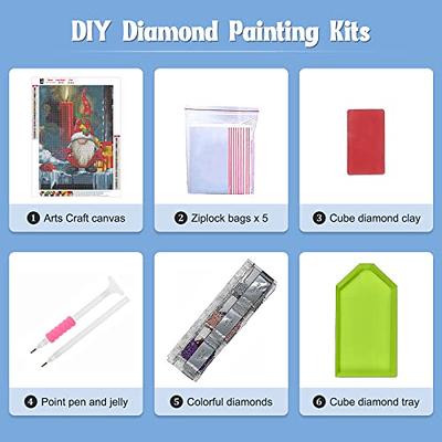 NAIMOER Gnomes Diamond Painting Kits for Adults, Full Drill Christmas  Diamond Painting Kits 5D Diamond Painting Kits Christmas Diamond Art Winter