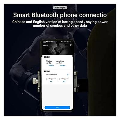  BOYIDAI Electronic Boxing Machine Wall Mounted Boxing Workout,  Smart Music Boxing Training Machine with Boxing Gloves Bluetooth Connection  Indoor for Kids Adults Stress Release (Color : Adults) : Sports & Outdoors