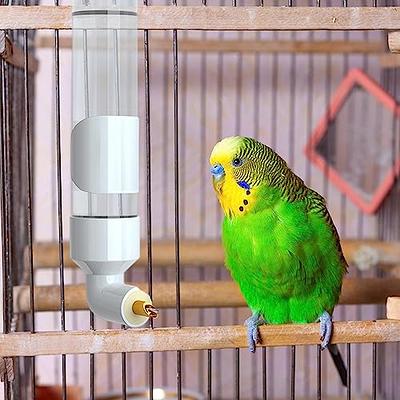 Pet Bird Water Feeder, 13.5 Oz Parrot Water Dispenser, Bird Cage Suspended  Automatic Water Dispenser for Parakeet Budgie Lovebirds Cockatiel (1PCS)