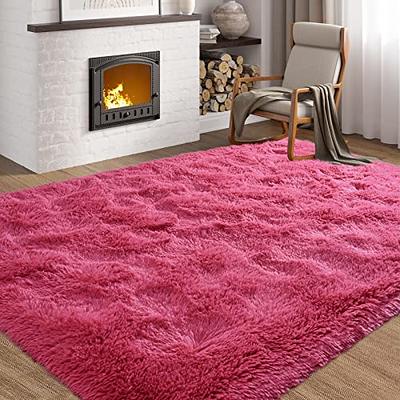  Softlife Rug for Bedroom 4x5.3 Feet Area Rug for Living Room  Super Soft Shaggy Rugs for Kids Room Fluffy Fuzzy Carpets Long Plush  Bedside Rug Nursery Home Decoration for Boys Girls