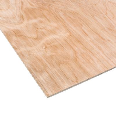 1/8 Luan Plywood Sheet