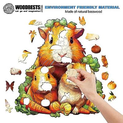 WOODBESTS Wooden Jigsaw Puzzles for Adults Kids  