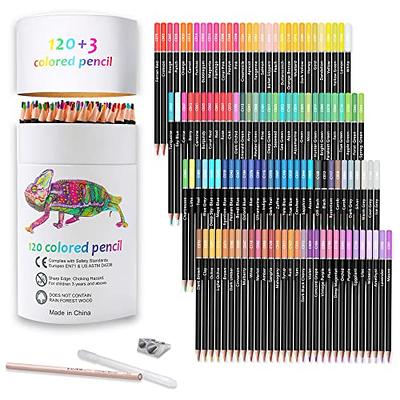 Huhuhero Colored Pencils for Adult Coloring Books, Set of 120 Colors, Soft  Core Artist Drawing Pencils, Ideal Coloring Pencils for Sketching Shading