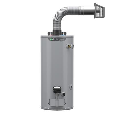 A.O. Smith Signature 100 30-Gallon Short 6-year Warranty 4500-Watt Double  Element Electric Water Heater in the Water Heaters department at