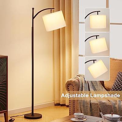 Ambimall Floor Lamps for Living Room, Modern Floor Lamp with Remote Control  and