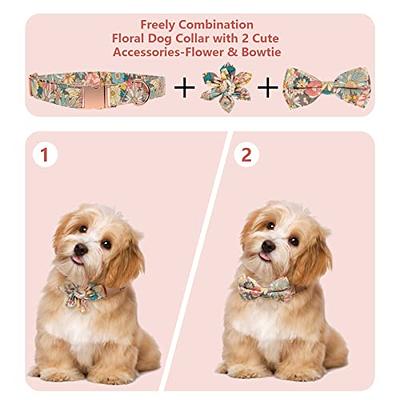Girl Dog Collars for Puppies Small Medium Large Dogs, Cute Green Dog Collar  for Female Dogs with Adjustable Flower and Bow tie with Dog Tag & Strong  Metal Buckle, Fit Necks(M) 