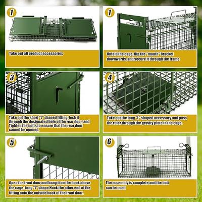 Moclever Humane Cat Trap Cage Catch Release Live Animal Rodent Cage  Collapsible Galvanized Wire for Small Raccoons Beavers Groundhogs Foxes