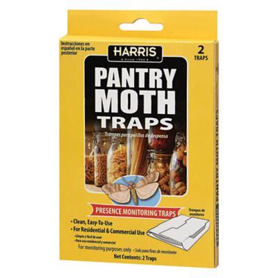 ECOTASTIC Clothing Moth Traps - 11 Count - Foldable Moth - Eco-Friendly  Hassle Control - Pheromone Technology - Closet Mothballs -  Wood/Carpet/Clothes