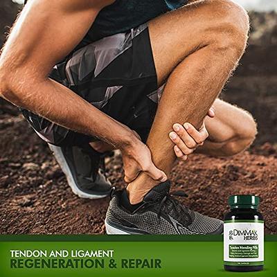 Tendon Mending Pills Tendon and Ligament Regeneration and Repair