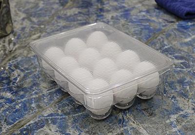 Clear Stackable 2 Dozen Egg Tray Holder Bin for Refrigerator with Lid