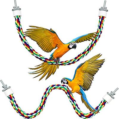 Bird Rope Perch Parakeet Toys Spiral Bird Toy for Cockatiels Bungee Rope  Perches