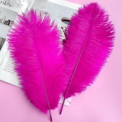 Retrowavy 30 Pcs 14-16 Inches Large Natural Ostrich Feathers Bulk for  Centerpieces for Wedding Party Centerpieces Home Decoration Flower  Arrangement