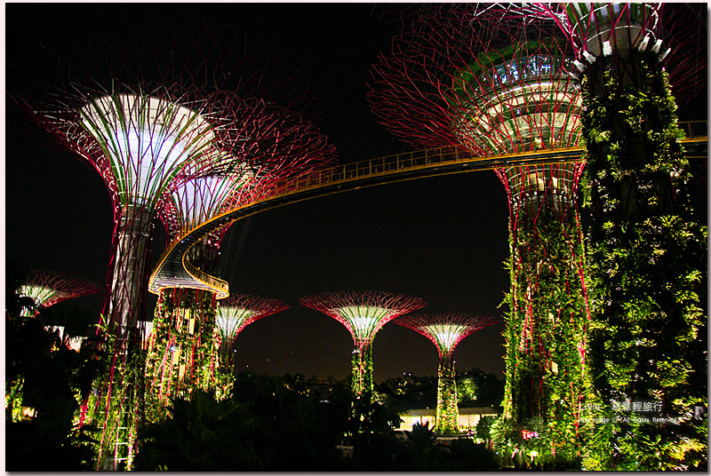 滨海湾花园超级树。新加坡自由行〕宛如阿凡达