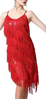 Women's Flapper Dress 1920s Gatsby Tassel Sway Dance Cocktail Dress with  20s Accessories Set in 2023
