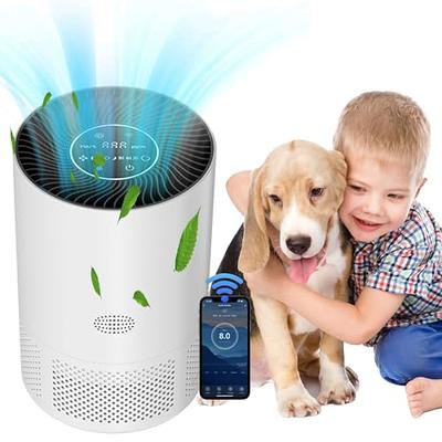 Xiaomi Air Purifiers for Home Bedroom, Allergen Removal, Smart WiFi Alexa,  Large Room Air Purifier Ultra Quiet Auto, PM2.5 Air Quality, HEPA Filter