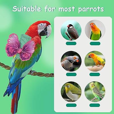 Bird Harness Adjustable Parrot Leash Harness Training Rope Flying Band Bird  Rope Outdoor Training Long Rope Belt Walking Lead