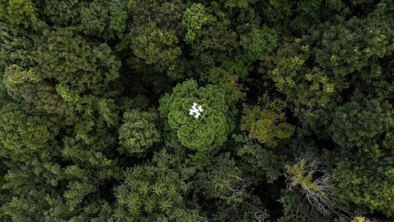 碳捕捉與地底封存 期待高恐落差大