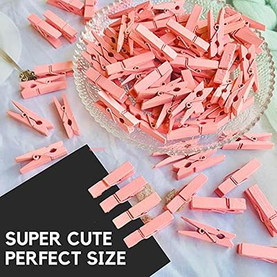 Clothes Pins Mini Clothespins Pink - 100 PCS Wooden Small Clothespins for  Pictures with Jute Twine Tiny Photo Paper Clip, Ideal for Baby Shower,  Crafts, Chip Clips, Home Office Decoration - Yahoo Shopping