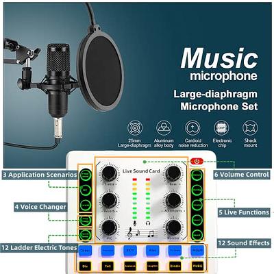  Podcast Equipment Bundle,Condenser Microphone Bundle with  Tripod Stand and Professional Audio Mixer/studio equipment/podcast  microphone for Streaming Broadcast,Gaming,Recording,Singing,tiktok,  : Musical Instruments