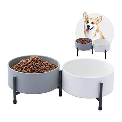 Dog Bowl And Bowl Elevated Cat Bowl, 15 Degree Sloped Ceramic For Small  Dogs With Iron Stand, 2-in-1 Elevated Food And Water Bowls For Dogs, Neck  Reli