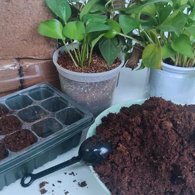 62.1 Gallons Coco Coir Brick for Plants- 27 Pack Coconut Coir