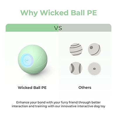 Wicked Ball PE: Smart Interactive Dog Toy for Medium & Large Breeds