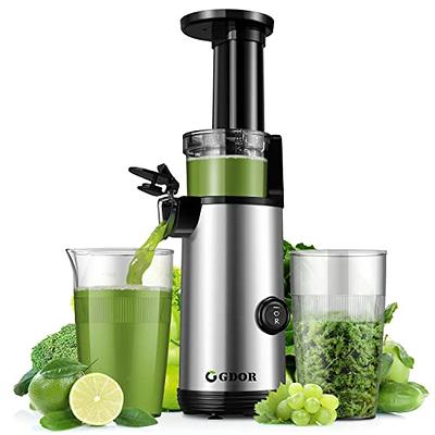 SiFENE Compact Cold Press Juicer, Single-Serve Slow Masticating Juicer for  Small Families, Easy to Clean, Anti-Clog, Quiet Motor, Safe for Kids, BPA