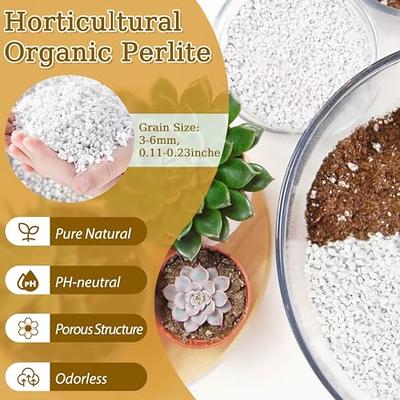 Riare 20 Quarts Organic Perlite for Plants - Horticultural Perlite Soil  Amendment for Plants Potting Mix, Natural Chunky Perlite Soil Additive  Conditioner Improve Root Growth, Drainage and Ventilation - Yahoo Shopping