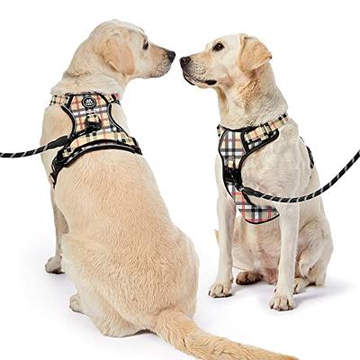 No-pull Dog Pet Training Harness with 2 Handle & Free 5 PCS Tag/patches,  Easy Control Soft Oxford Padded, Outdoor Walking Service Reflective Vest  for Medium Large Dogs, Purple 