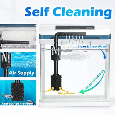 Small Fish Tank 2 Gallon Glass Aquarium Starter Kits Self Cleaning