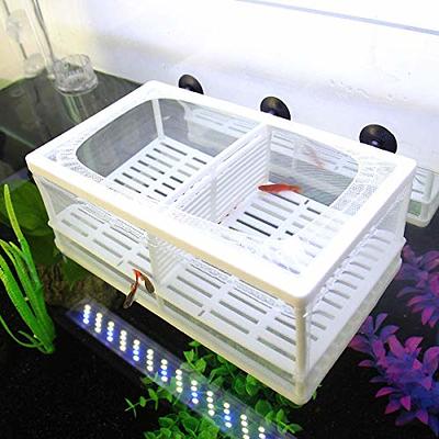 Semetall Aquarium Fish Breeding Box,Acrylic Fish Tank Hatchery Incubator  Breeder Box Floating Transparent Fish Isolation Box with Suction Cups for  Fishes Shrimp Clownfish Small Fish(Small) - Yahoo Shopping