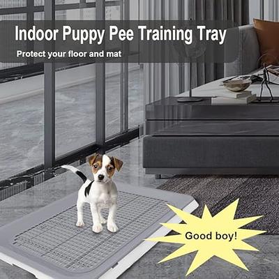 Skywin Dog Puppy Pad Holder Tray for 24 x 24 Inches Training Pads -  Silicone Wee Wee Pad Holder, No Spill Pee Pad Holder for Dogs, Easy to  Clean and