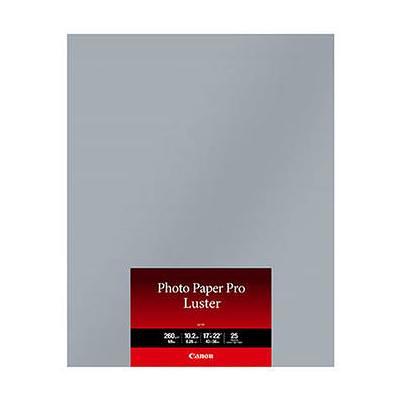 Canon Pro Platinum Photo Paper 4 x 6 (50 Sheets) 2768B014 B&H