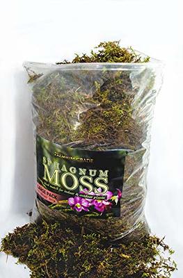  O-FarFarm Dried Forest Moss for Plants 16oz / 9qt, Green  Orchid Sphagnum Moss, Long Fibered Dried Moss for Succulents Garden Flowers  Pot and Reptiles Visit The O-FarFarm Store : Patio