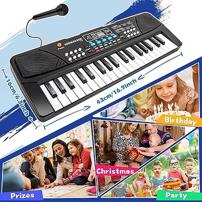 Portable Piano Electronic Keyboard for Toddler 3 4 5 6 Years Old Children