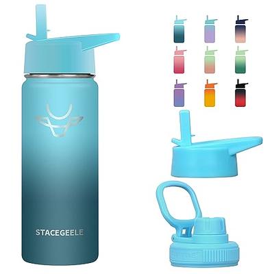 EcoVessel Frost Stainless Steel Kids Water Bottle with Straw Lid, Leak Proof Bottle with Carry Handle & Bottle Bumper, Kids Water Bottle for School