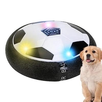 Active Gliding Dog Disc - Motion Activated Active Rolling Ball