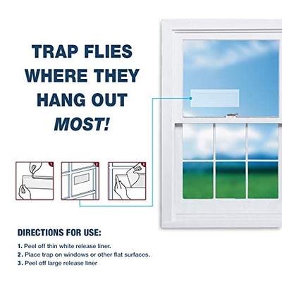 Window Fly Trap