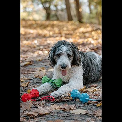 Rubber Bone Dog Chew Toy with Tug Rope -- Great for Active Dogs