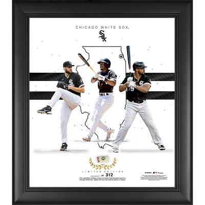 Tim Anderson Chicago White Sox Jersey IMPACT Frame