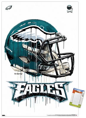 WinCraft Philadelphia Eagles 2022 NFC Champions 12'' x 18'' Two-Sided  Garden Flag