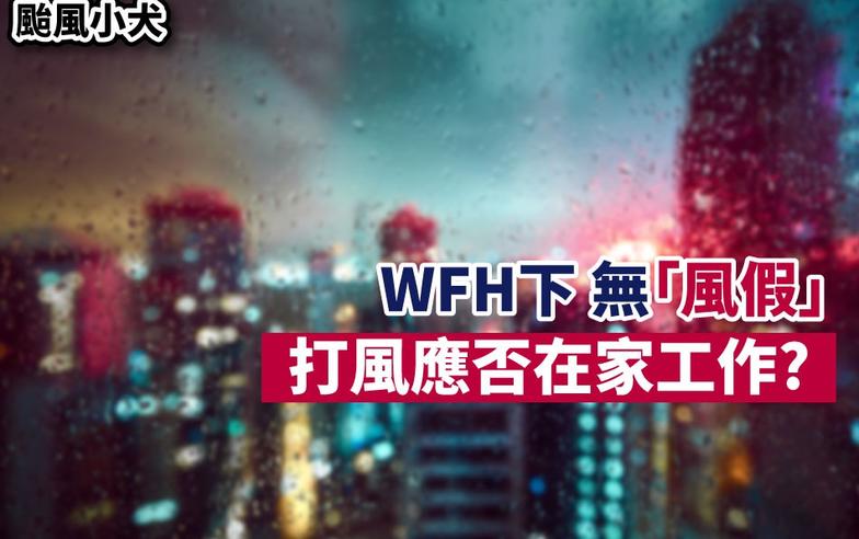 颱風小犬丨WFH下無「風假」 打風應否在家工作？