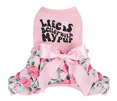 Dog Clothes: Puppy & Dog Outfits & Apparel