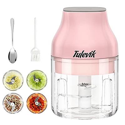 Electric Mini Garlic Chopper, Rechargeable Portable and Cordless Food  Processor, 350ML Vegetable Chopper with 304 Stainless Steel Blade, Mincer