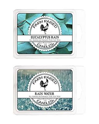 Scented Non Toxic Wax Melts - 2 Pack Combo - 16 Cubes - 100% All American  Made - by Farm Raised Candles - Natural American Farmed Soy Wax (Rain Water  & Eucalyptus Rain) - Yahoo Shopping