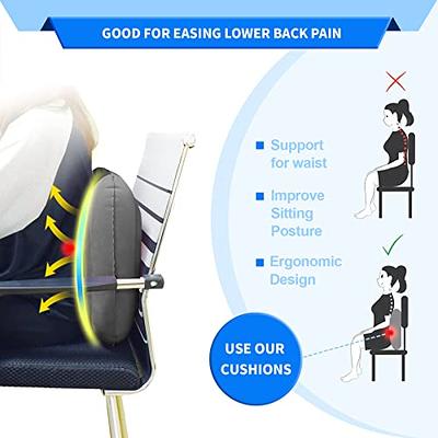 Inflatable Seat Cushion, Butt Lift Pillows for Home Car Office Chair  Wheelchair, Chair Cushion Relieves Tailbone Back Coccyx Hemorrhoid Sciatica  Pain