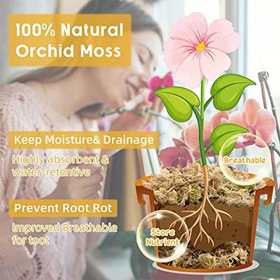 REFFU Natural Sphagnum Moss, Premium Dried Forest Moss for Potted Plants, Potting Mix, Carnivorous Plants Moss for Orchid Succulent Garden and