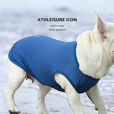 Cooling Dog Dress for Small Dogs for Summer, Girl Dog Apparel