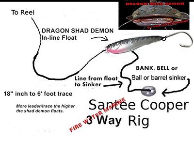 5 [Five] Dragon SHAD Demon in LINE Catfish/Striper DRAGGING Drift Float  Floater Carolina RIG - Yahoo Shopping