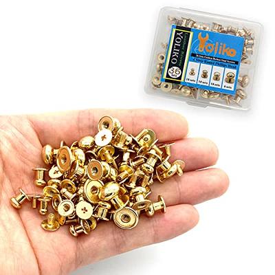 YORANYO 30 Sets 8MM Round Head Button Stud for Leather Chicago  Screws Spikes and Stud Leather Rivets Screws Button Rivets for Repair and  Decorate Clothing Shoes Belts Bags Dog Collars (Antique